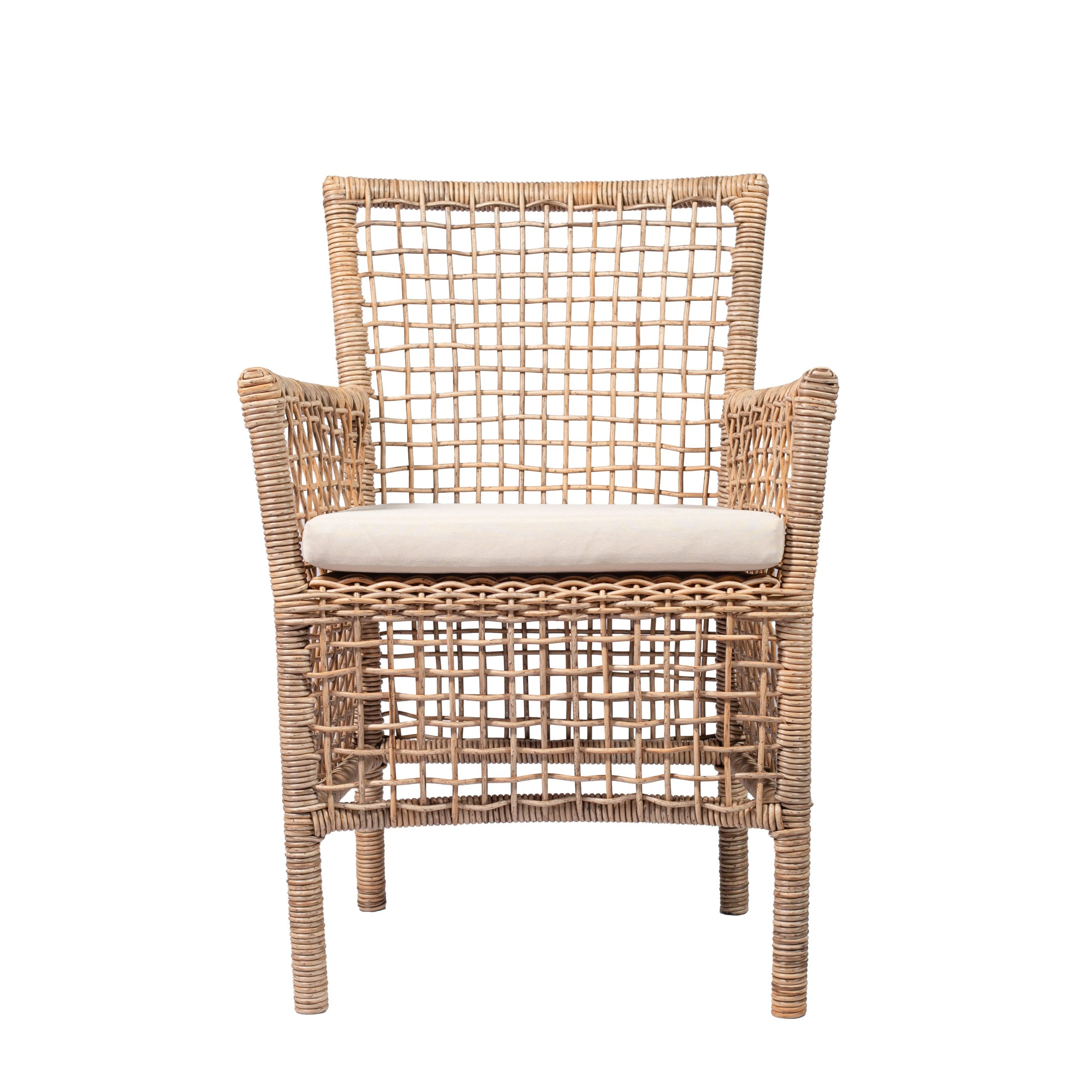 WB2023009 Dining Chair (1)